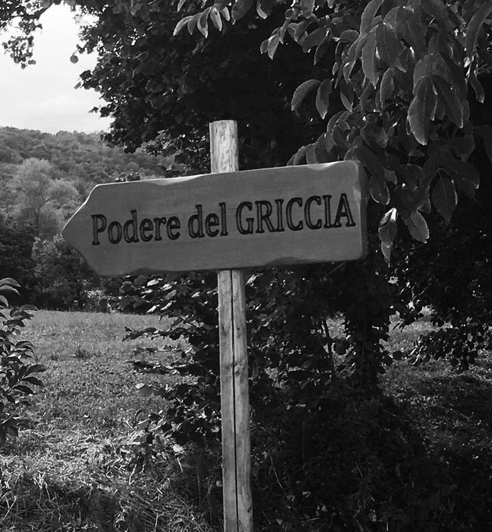 צ'יביטלה אין ואל די קיאנה Podere Del Griccia מראה חיצוני תמונה